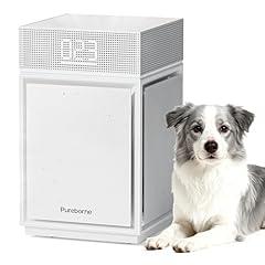 Pureborne Air Purifier for Large Rooms