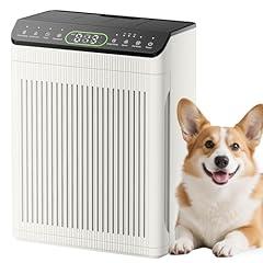 Evalit Air Purifier for Large Rooms